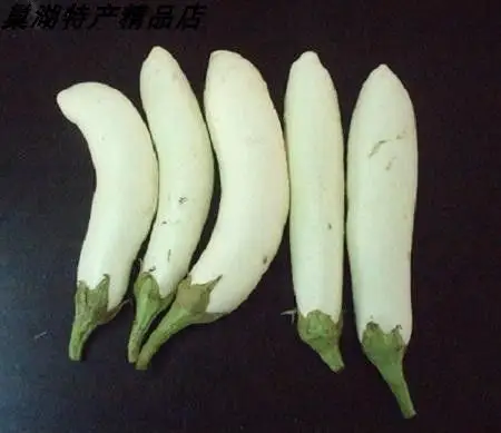 共128 件茄子品种相关商品