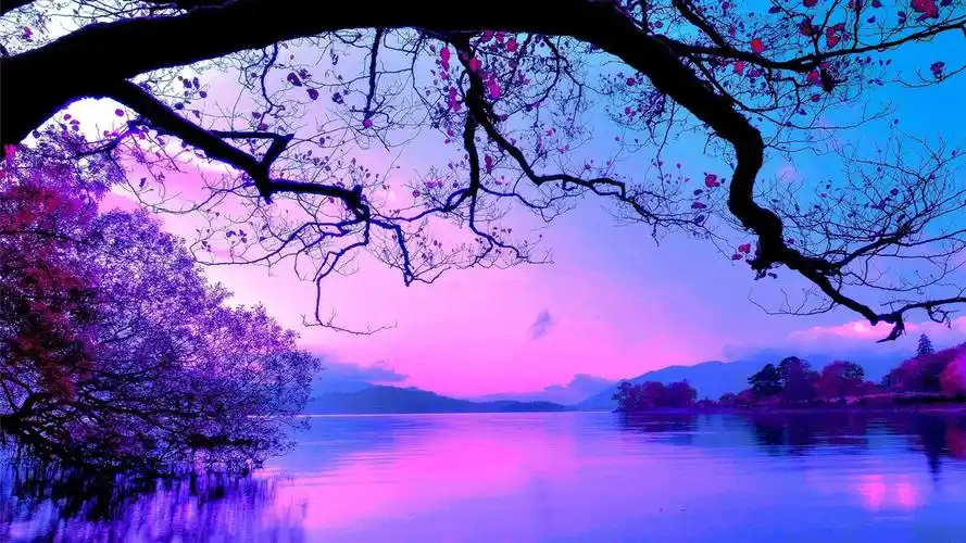 精选紫色背景素材高清图电脑高清壁纸