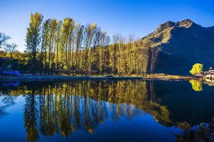 京郊怀柔有个地方青山滴翠风景如画可遛狗可露营还不要门票