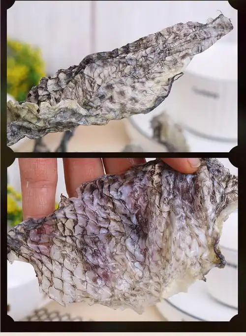 罗鱼皮干货干鱼皮新鲜原味胶原蛋白鱼皮干凉拌菜脆