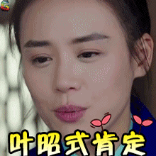 将军在上soogifsoogif出品马思纯叶昭式肯定gif动图_动态图_表情包