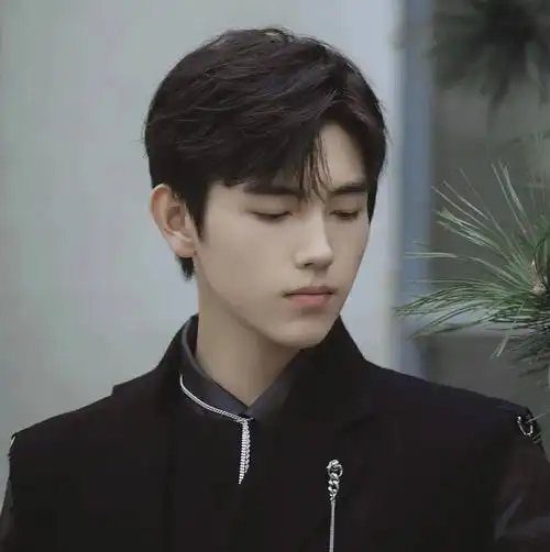 微信头像陈飞宇