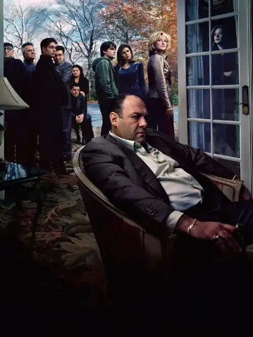 黑道家族》(the sopranos)是美国一套反映黑手党题材的虚构电视连续剧