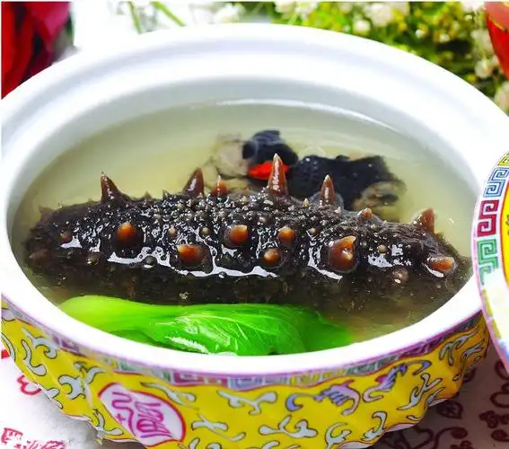 海参的做法二十道海参美味的做法