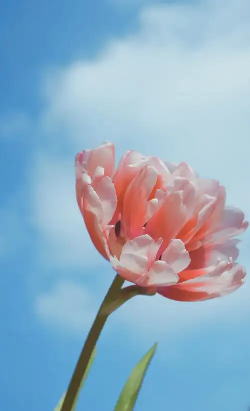 天空,最美的背景板