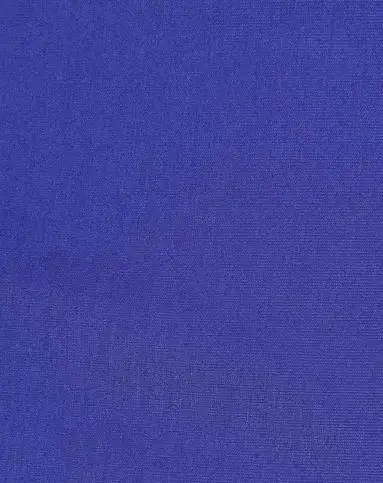 紫蓝色时尚百搭休闲短袖t恤