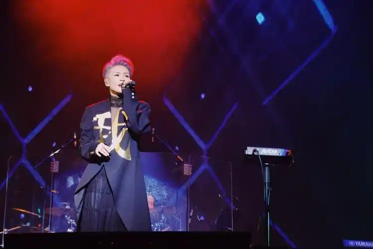 中国好声音第二季 毕夏