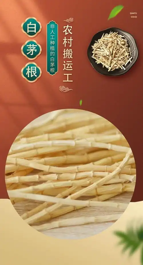 白茅根丝茅根新鲜野生茅草根竹蔗马蹄茅根水甜毛根凉茶中草药食材