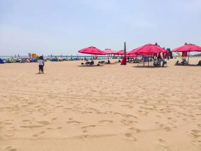 东疆湾沙滩景区系我国最大的人造沙滩景区,位于天津港东疆港区的东