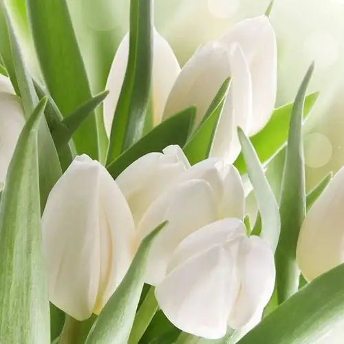 往后余生岁月情长