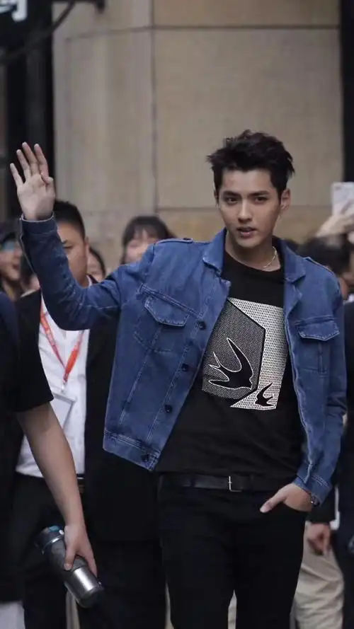 2017夏新款吴亦凡同款男装圆领修身双丝光棉大燕印花青年短袖t恤