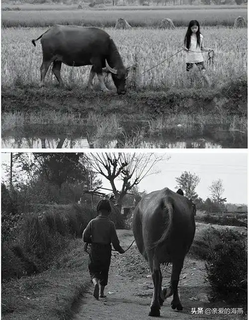 50张老照片:6070后80后的记忆,你的童年是这样么?张张戳中泪点