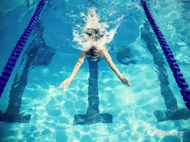 蛙泳提速小窍门_动作