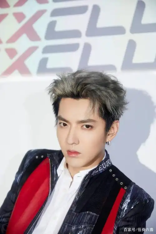 吴亦凡资料个人详细资料吴亦凡个人资料简介身高吴亦凡家是干什么的