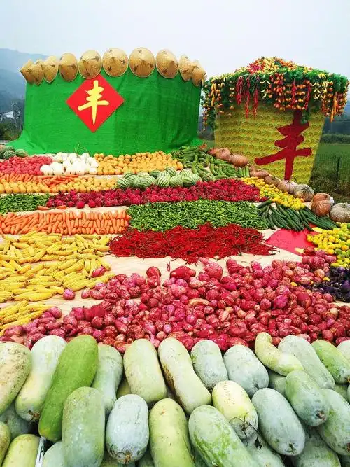 "绿色田野五谷丰登"咸宁首届农民丰收节柃蜜小镇主会场(摄影:李烈忠