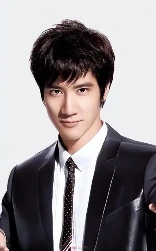 30岁王力宏近况(王力宏终因管不住下半身)(24)