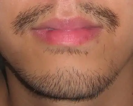 以前都说,猫的胡子是用来测量一个洞是否能钻的进去.