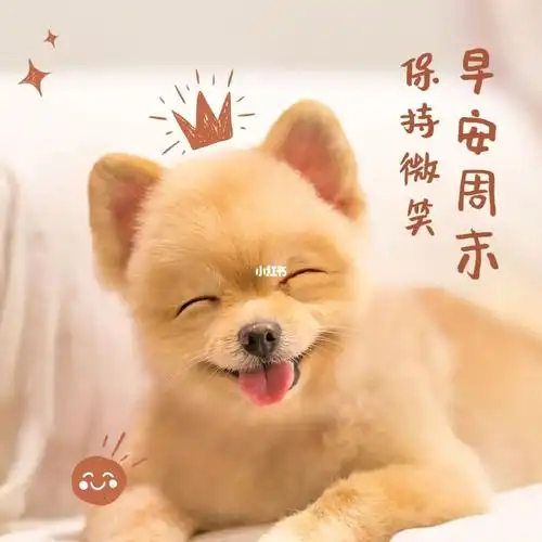 早安周末保持微笑文案