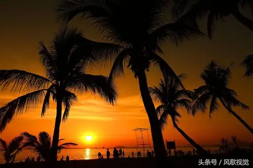 三亚冬日海边"椰梦长廊"夕阳美不胜收,引来无数游客