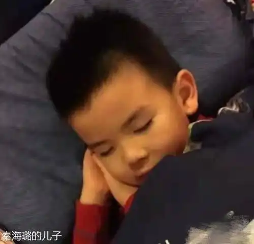 秦海璐在高龄阶段产下"巨婴"儿子,过去了这些年,如今儿子让人羡慕