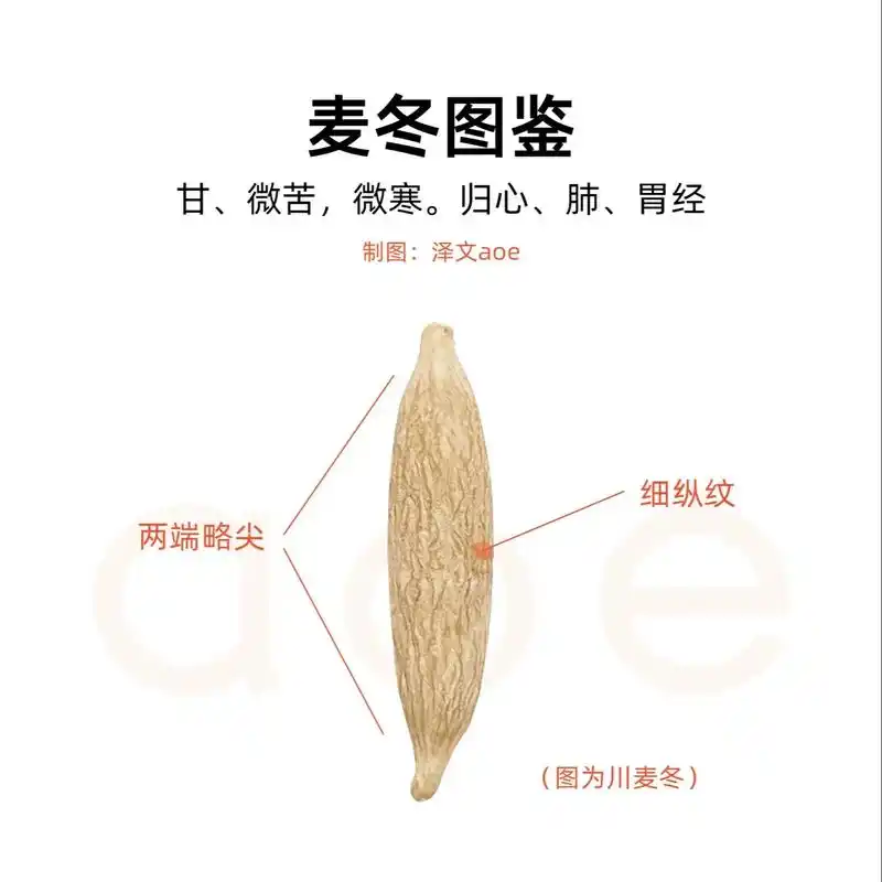 麦冬山麦冬图鉴 识别中药材麦冬和山麦冬.#中药材#麦冬#山麦 - 抖音