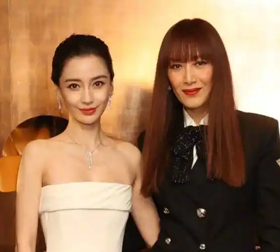 别再猜杨颖能不能复出了,内娱早已经给出了答案__娱乐最前沿_一个专注