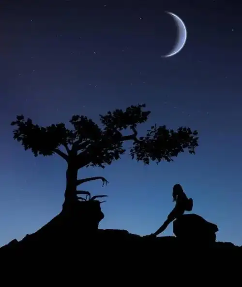 十二,一个人说再多,没人理会,也会难过;一颗心再执着,没有回应,也会