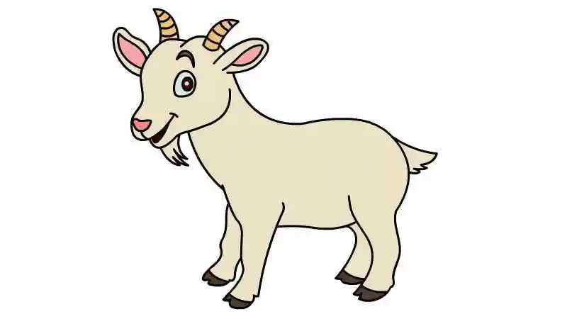 山羊简笔画 山羊简笔画怎么画_老教授逛逛网
