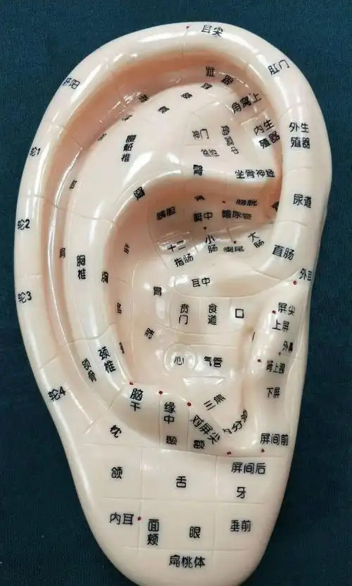 12月20日长沙新中医望诊特色诊疗暨新四诊手诊面诊眼诊耳诊精修班
