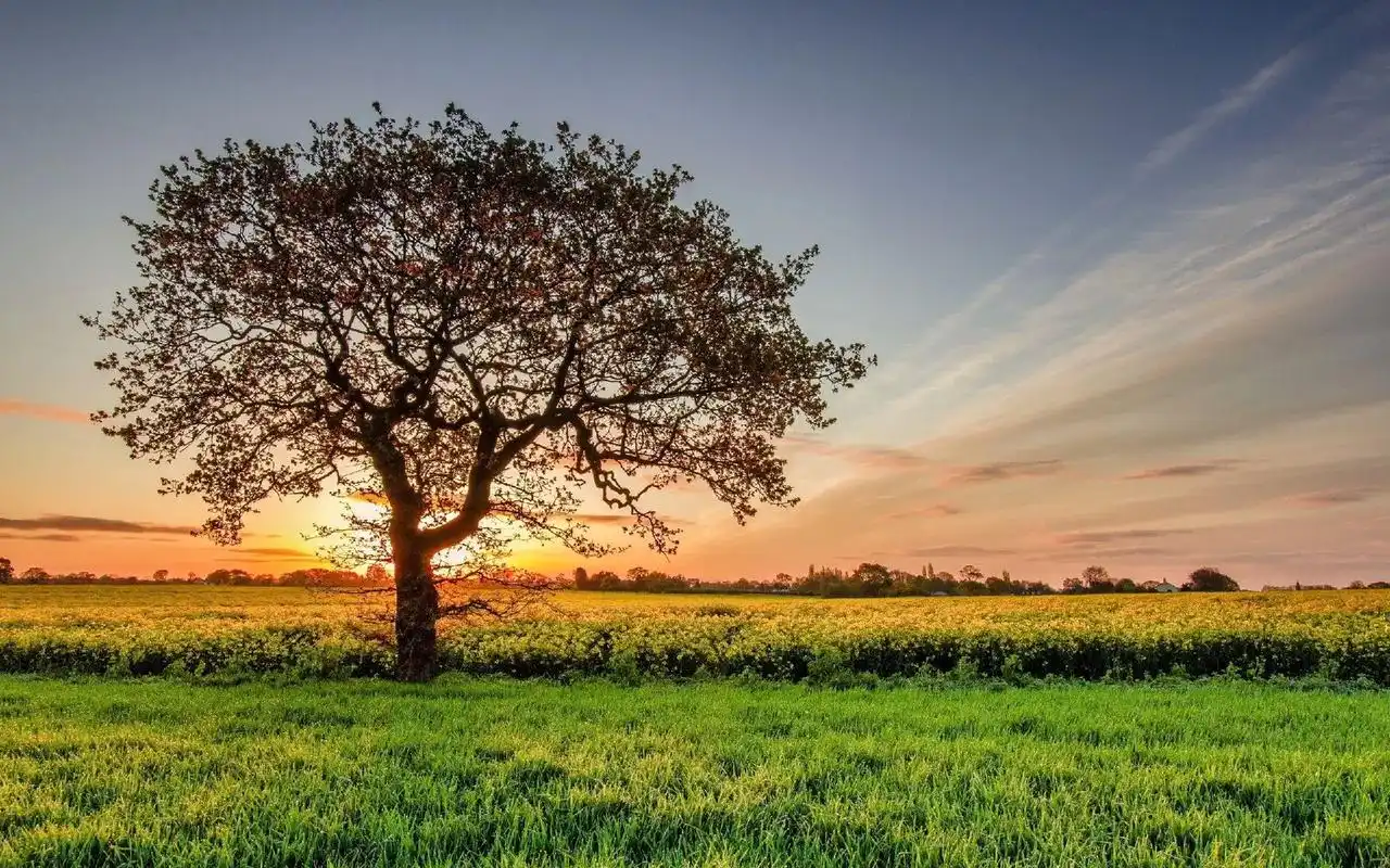 电脑桌面高清图片 #壁纸壁纸壁纸壁纸壁纸壁纸壁纸  #创作灵 - 抖音