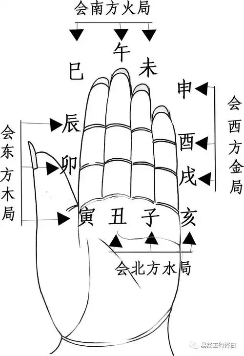 掐指一算十二地支掌诀图