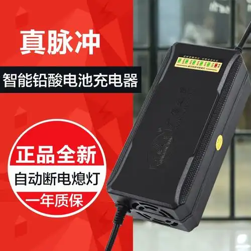 广源之星智能电动车电瓶铅酸电池充电器60v20ah自动断电防反接