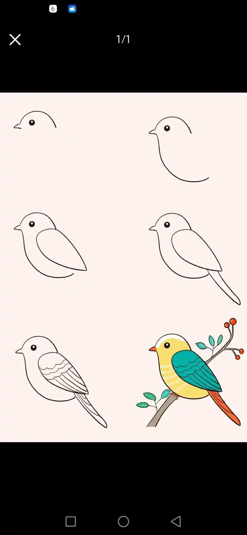 简笔画小鸟.#简笔画 #每日一画 #一学就会系列 #教你学画 - 抖音