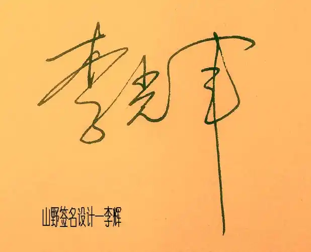 在线签名设计免费版-麻烦帮忙设计个签名
