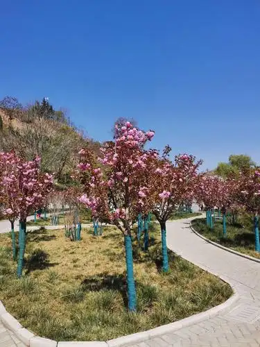 春景如画(三)人间最美四月天