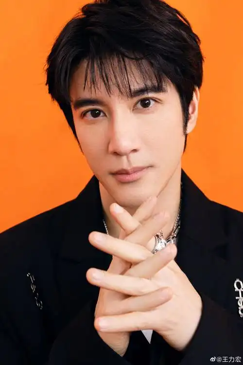 王力宏粉丝称李靓蕾像劳荣枝百万粉网红也跟风离婚判决未公开