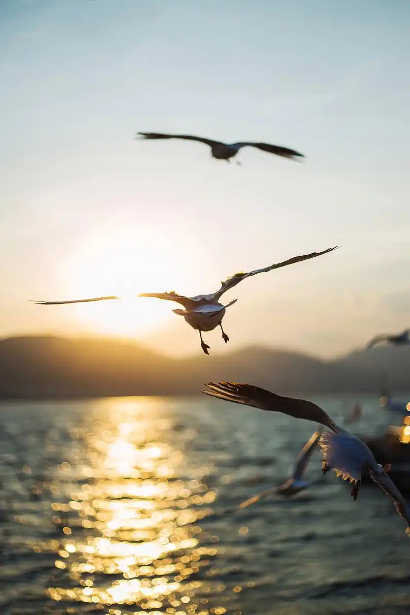 终身受益!这三个素质,请始终带在身上,百利无害!