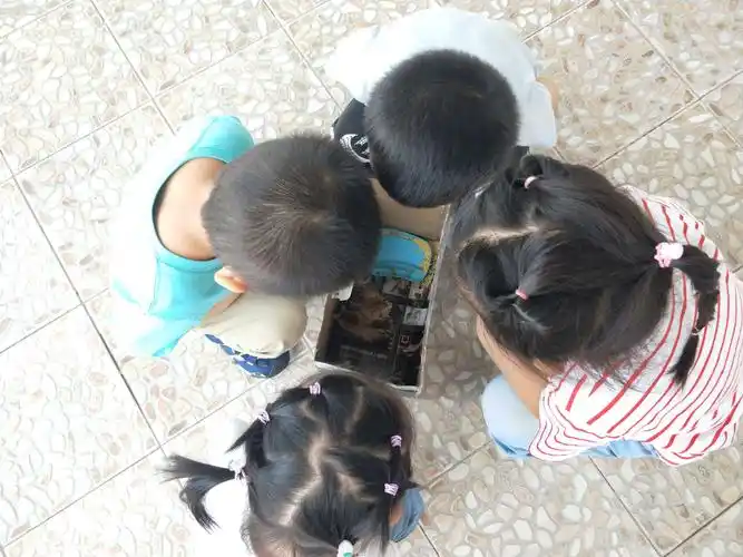 放手游戏,发现儿童——游戏活动(观察小鸡)