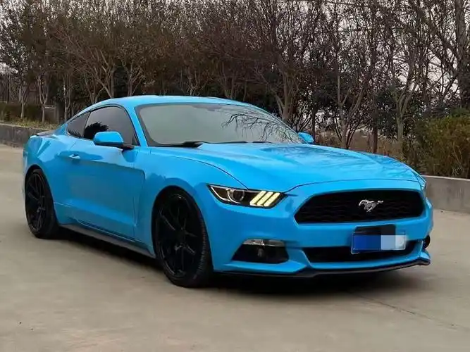 全款5个多.#福特野马 担保公司出品大本复件77不追车协议 丢 - 抖音