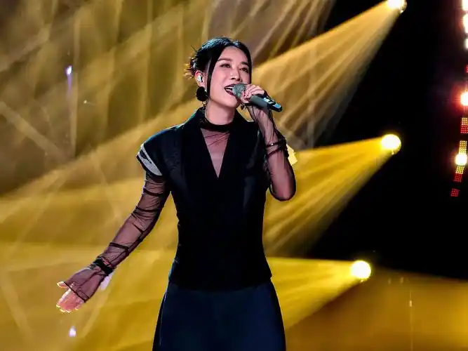 《歌手2024》:八竿子打不着的歌曲,真的能够一决高下吗?|编辑部聊天室