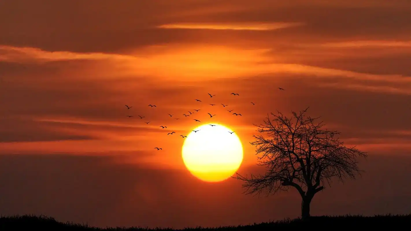 有一种美丽叫夕阳