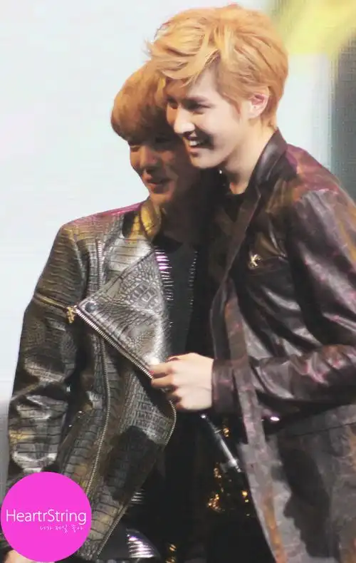 求几张鹿晗和kris的照片!