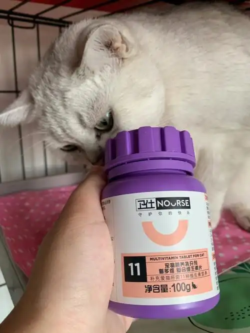 是胡歌代言的猫多维诶