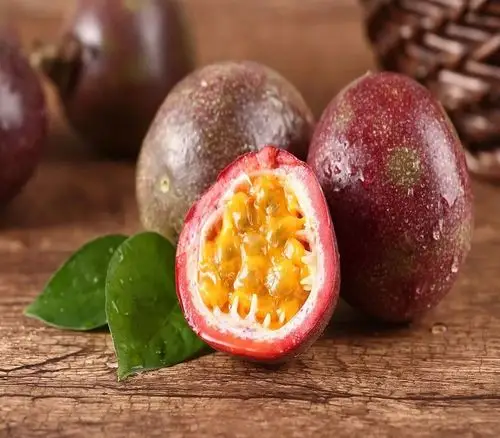 美食天堂,寻味台湾,台湾美食之行品特色水果