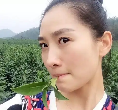 【图】陶昕然身高有多少 宣布怀孕起底安小主老公何建泽身家背景