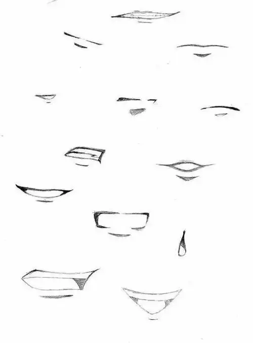 嘴巴|画法|教程_新浪新闻