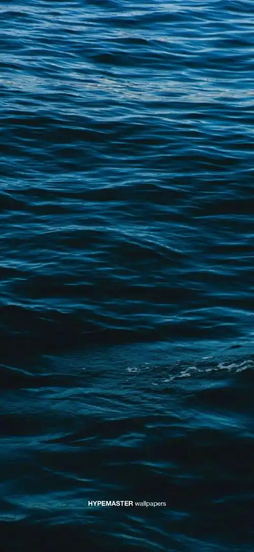 壁纸| 相信相信的力量_网易订阅