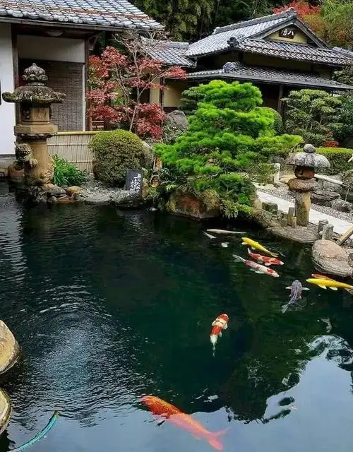 日本庭院——有水景的小庭院