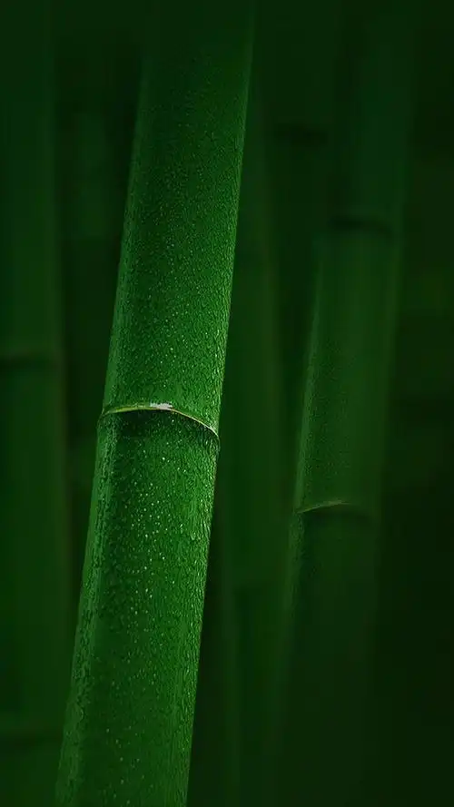 北道风·源著 1920x1080p竖屏超清手机壁纸第一期