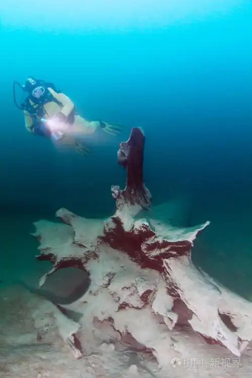 在奥地利的水肺潜水